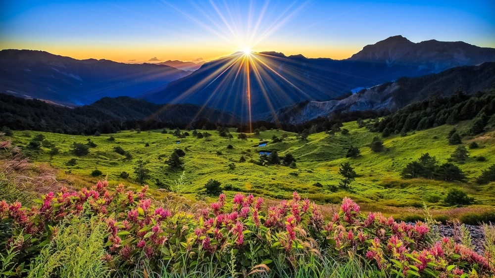 mountains-meadow-sunrise-flowers-beautiful-scenery_1920x1080
